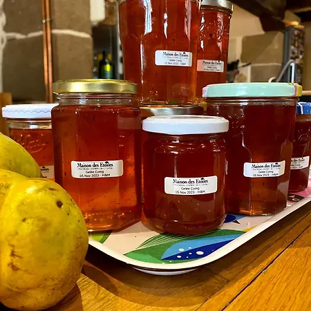 Maison Des Etoiles D'hotes, Adult Only Bed and Breakfast